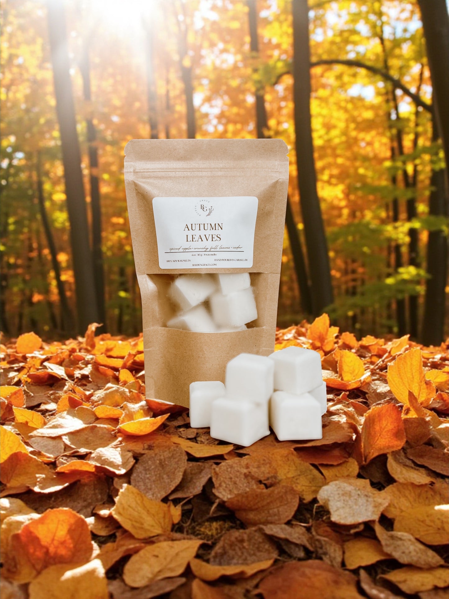 Autumn Leaves Wax Melt Bag