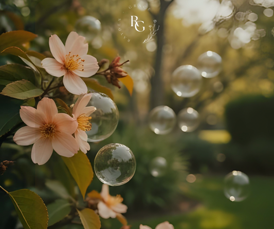 Peachwood Blossom Scented Laundry Booster