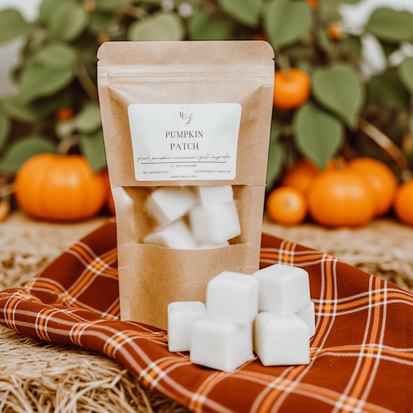 Pumpkin Patch Wax Melt Bag