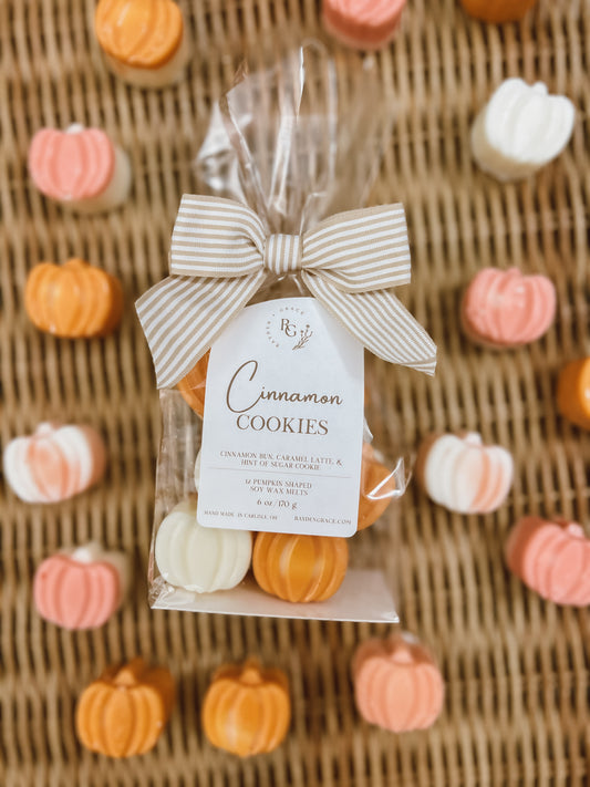 Pumpkin Shaped Wax Melt Bag