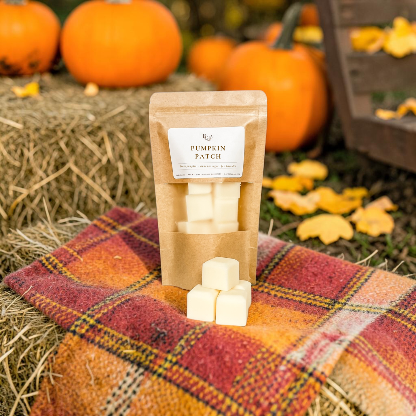 Pumpkin Patch Wax Melt Bag