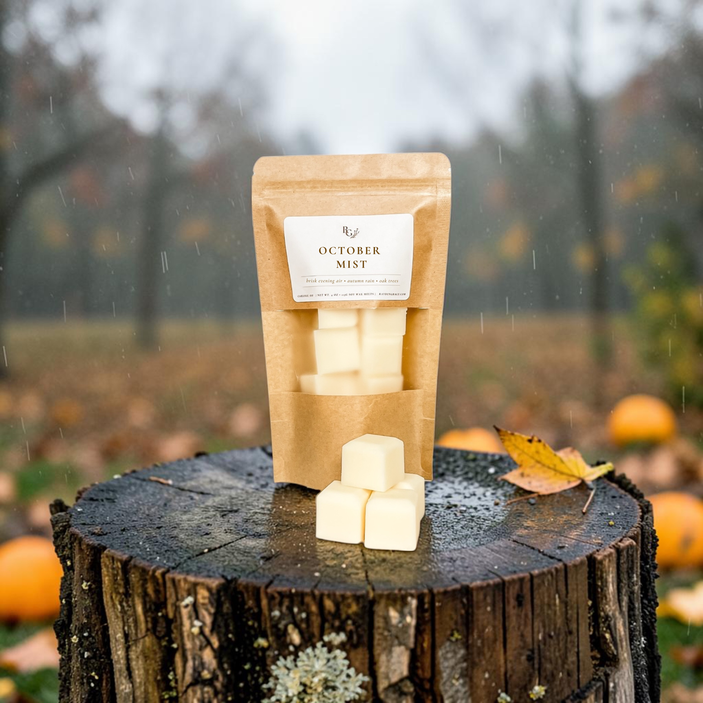 October Mist Wax Melt Bag